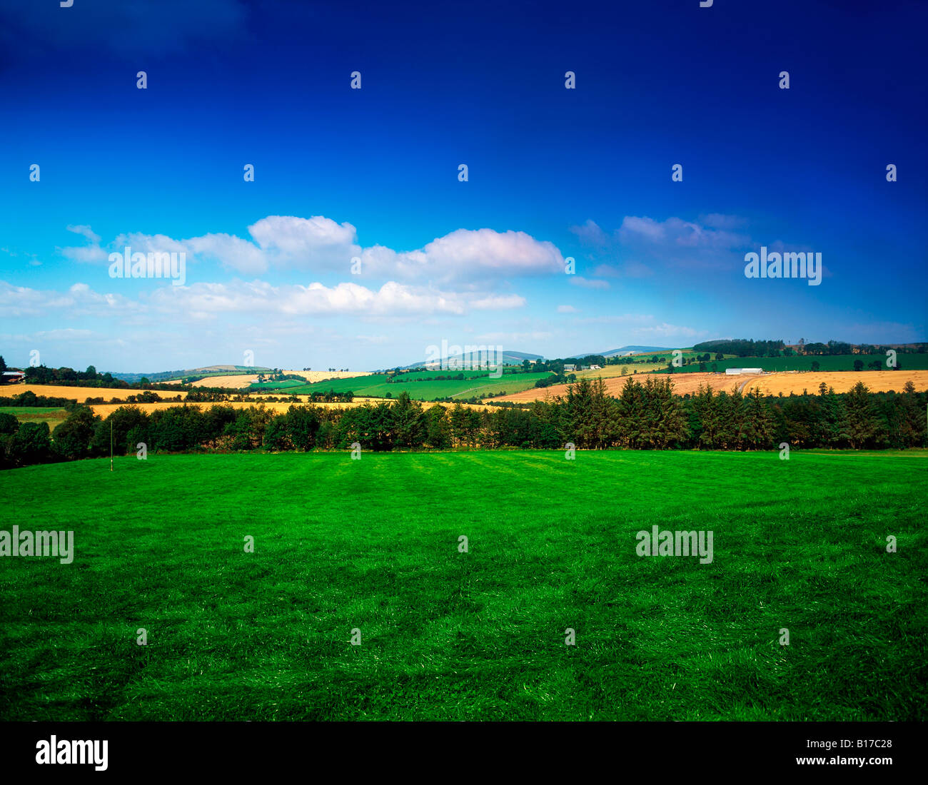 Farmscape, Bunclody, Co Wexford, Irlanda Foto Stock