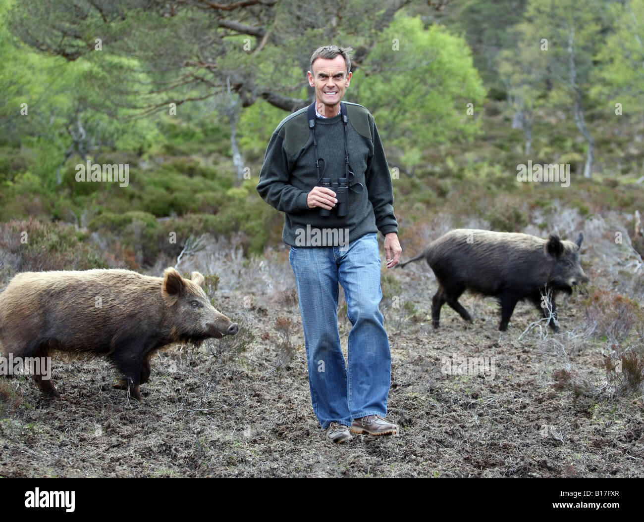 Multi millionare Paolo Lister che ha introdotto il cinghiale e elk sulla sua tenuta a Alladale, Sutherland, Scozia Foto Stock