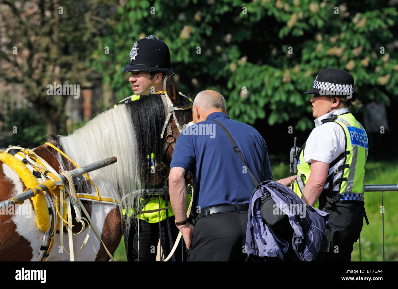 Cooperazione di polizia e di interesse pubblico a condizione di un cavallo. Appleby Horse Fair. Appleby-in-Westmoreland, Cumbria, Inghilterra, Regno Unito. Foto Stock