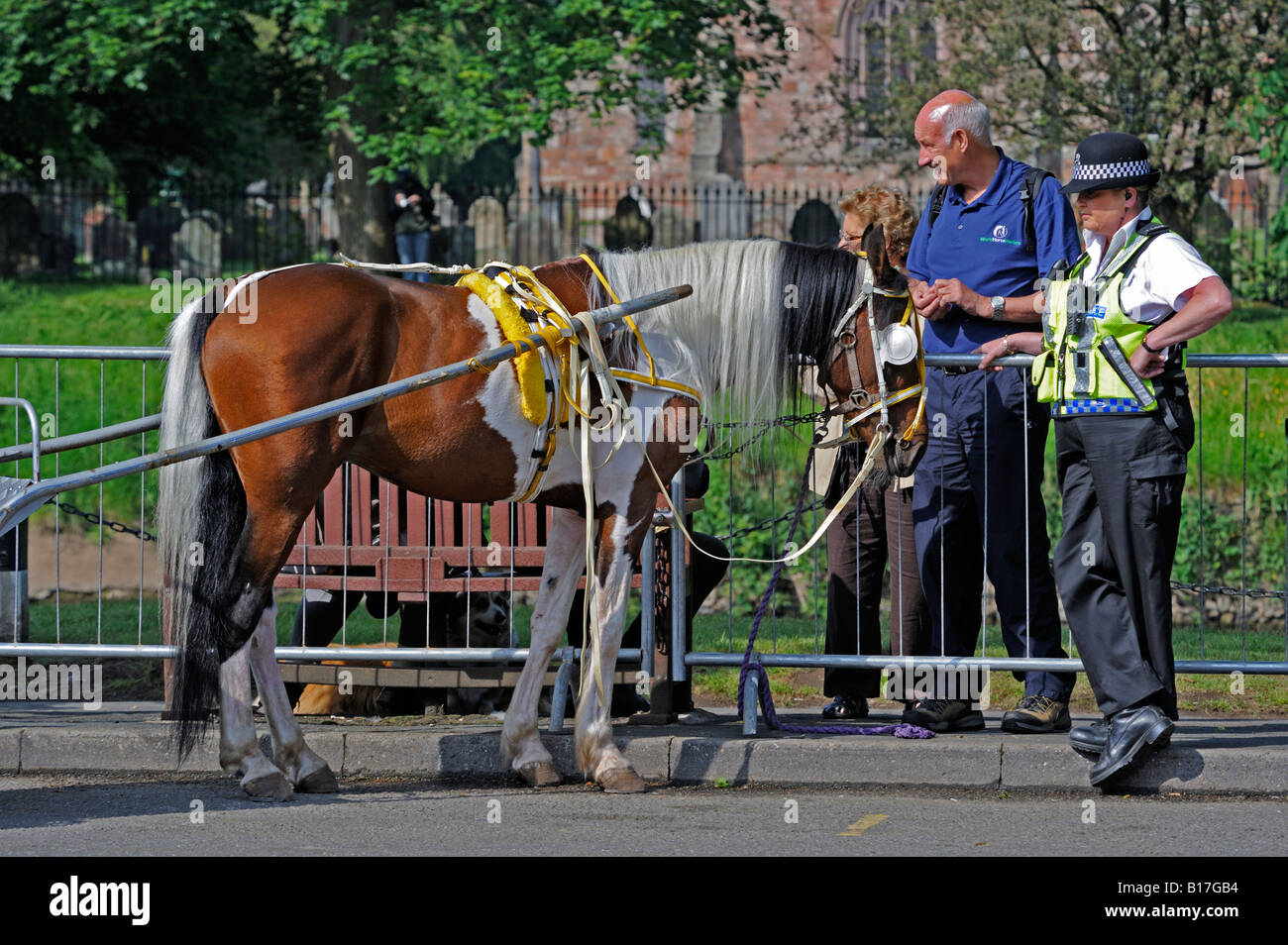 Cooperazione di polizia e di interesse pubblico a condizione di un cavallo. Appleby Horse Fair. Appleby-in-Westmoreland, Cumbria, Inghilterra, Regno Unito. Foto Stock