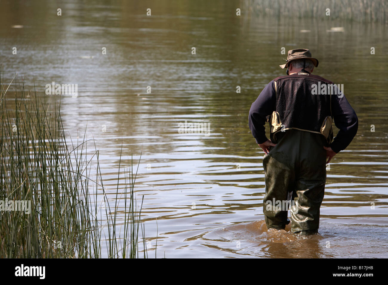 Uomo che indossa trampolieri e vestiti di pesca esamina il bordo del lakebed per mosche prima di andare a Mosca Foto Stock