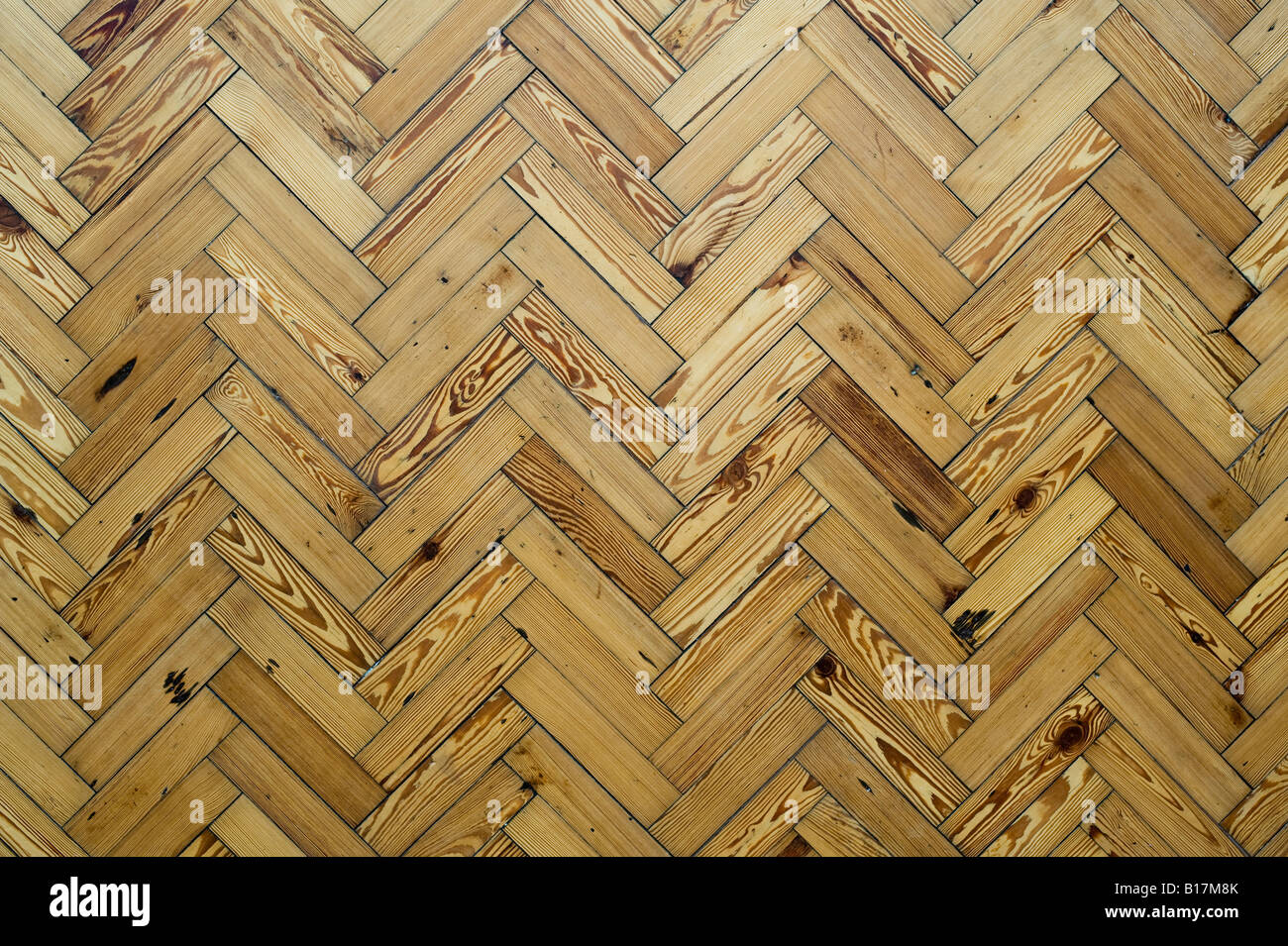 Pavimento in parquet di legno pattern. Unico motivo a spina di pesce Foto Stock