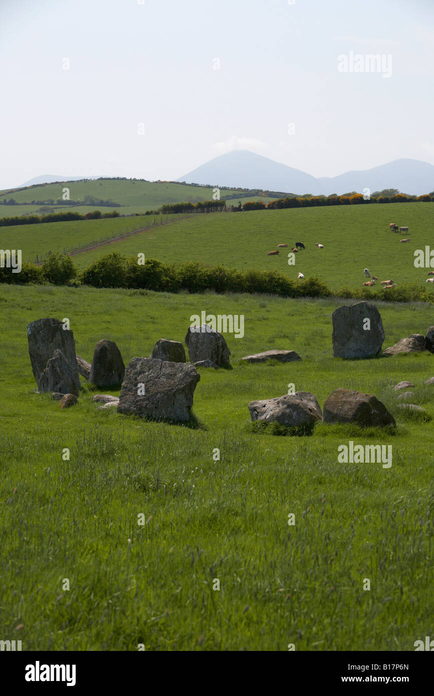 Ballynoe megalitico stone circle site datato intorno al 2000BC con Mourne Mountains sullo sfondo della contea di Down Foto Stock