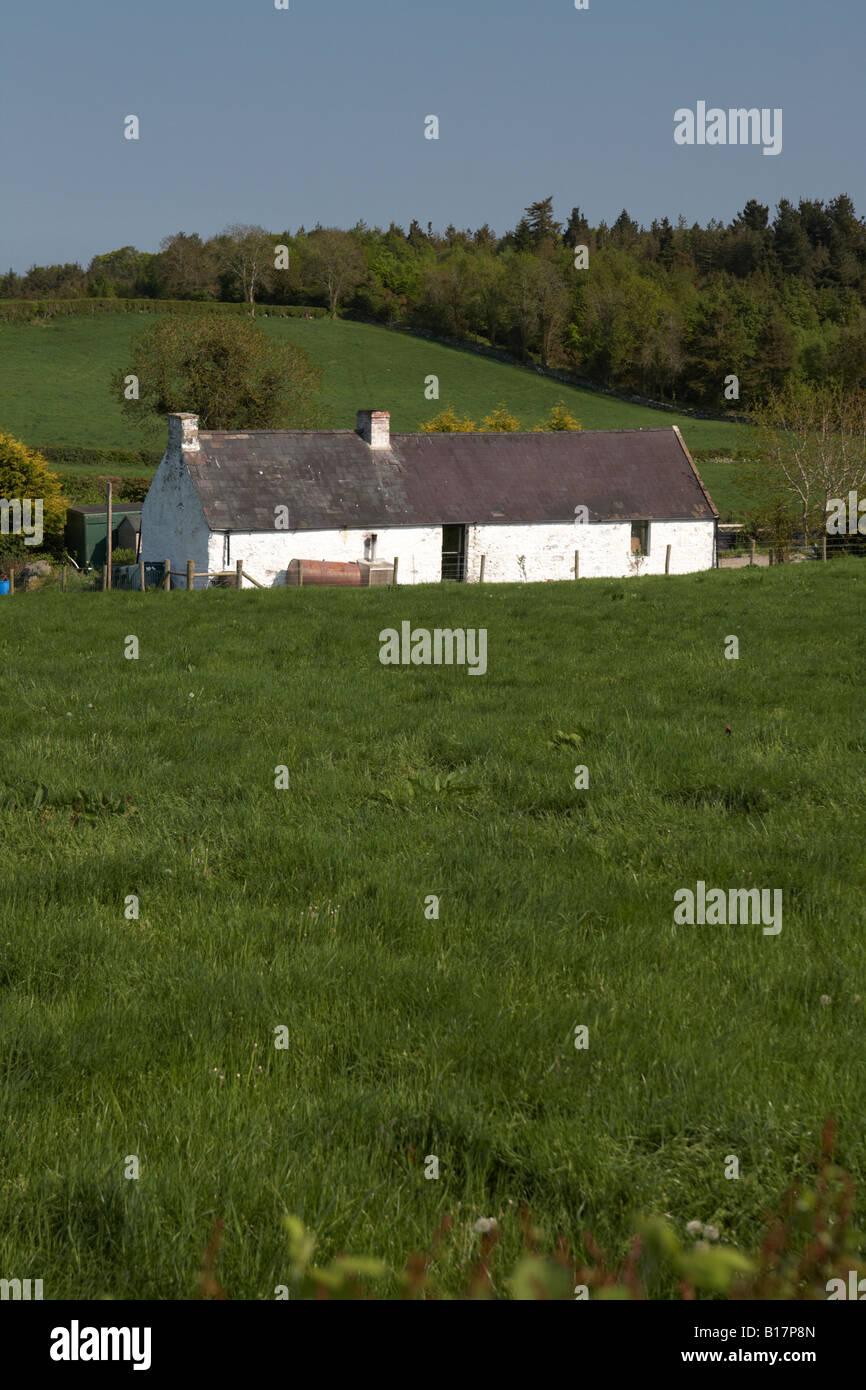 Irlandese tradizionale in pietra dipinta di bianco cottage con tetto in ardesia in terreni agricoli contea di Down Irlanda del Nord Foto Stock