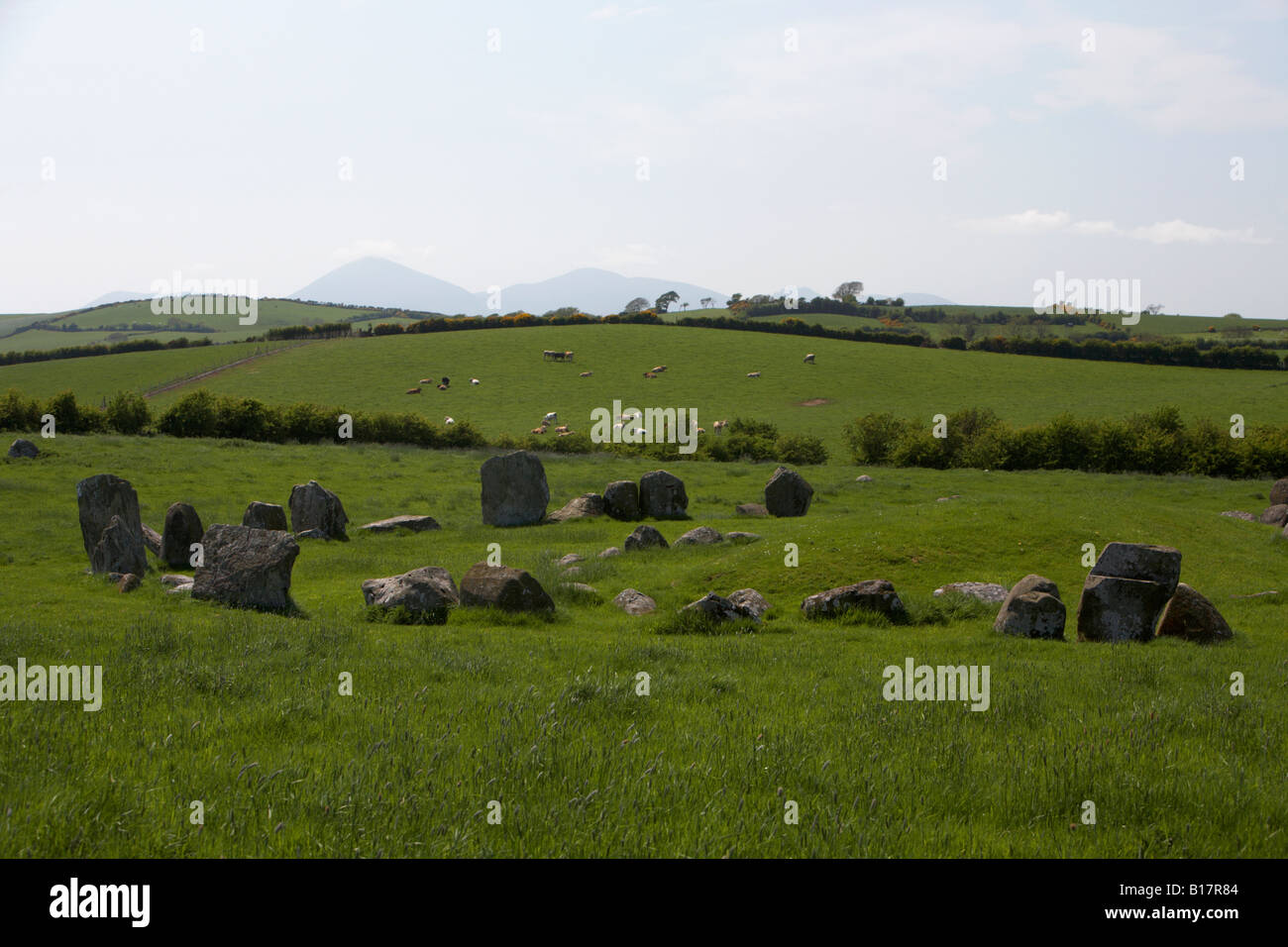 Ballynoe megalitico stone circle site datato intorno al 2000BC con Mourne Mountains sullo sfondo della contea di Down Foto Stock