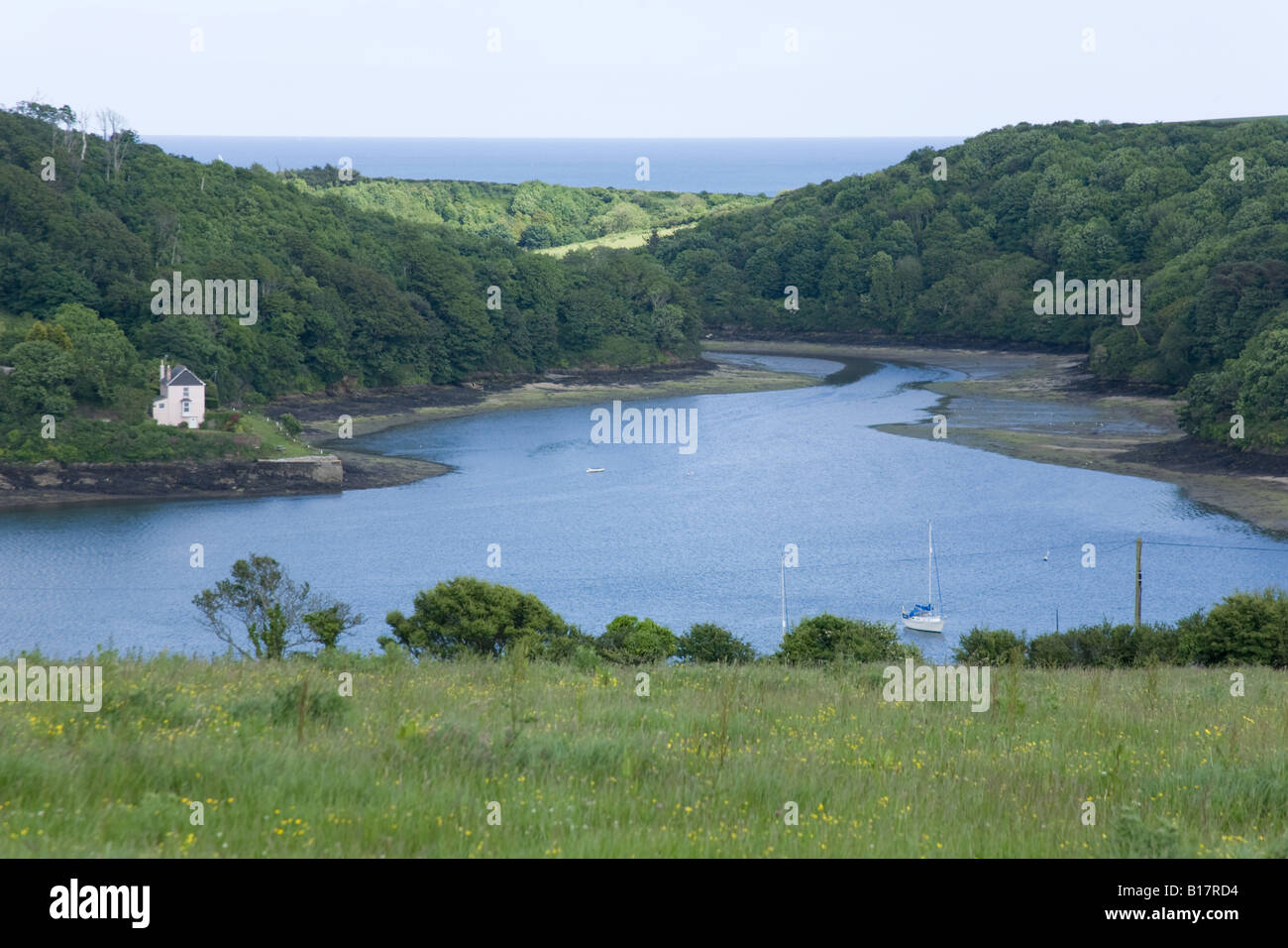 Fiume Percuil vicino a St Mawes Cornwall Inghilterra. Foto Stock