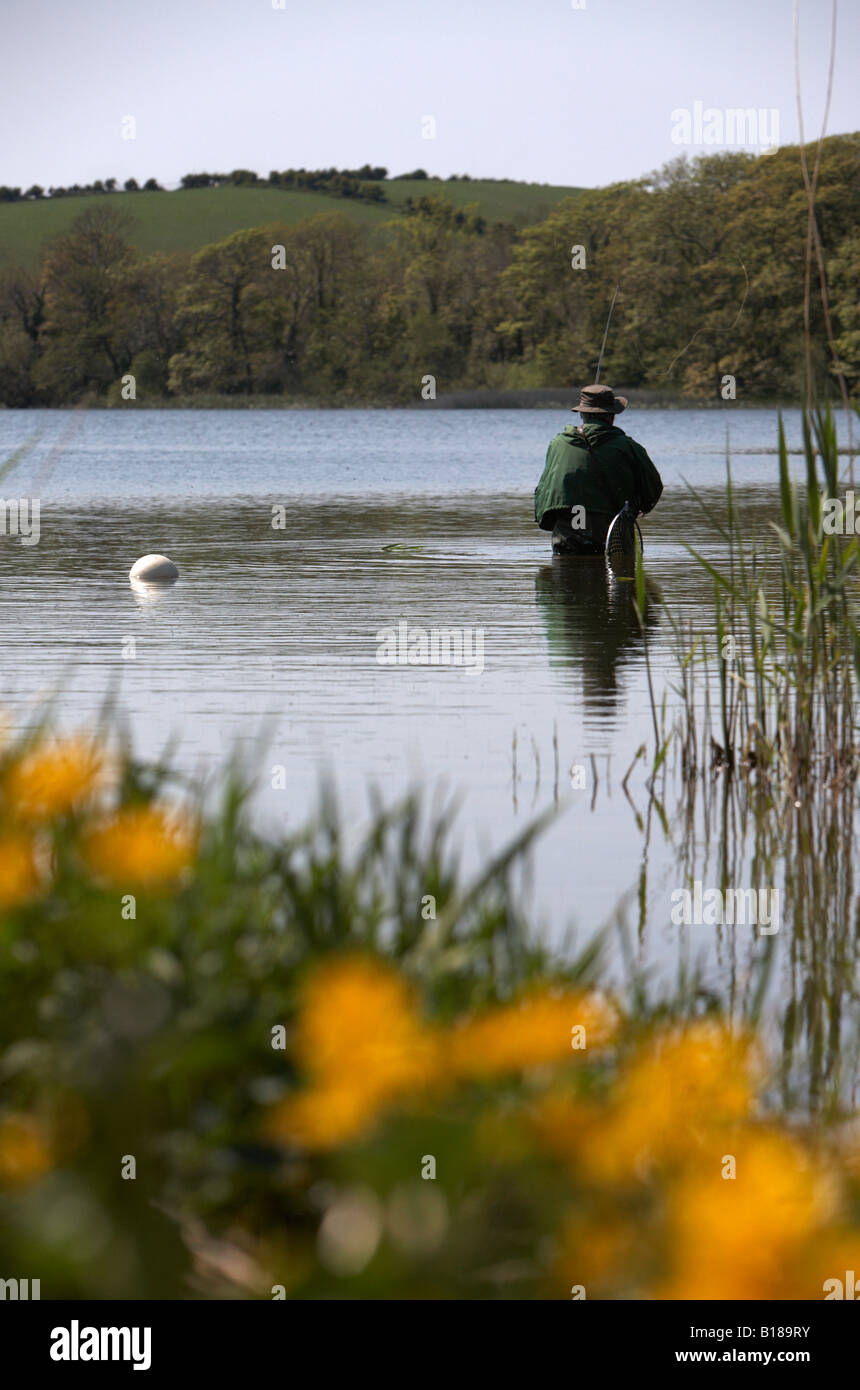 Uomo di colata asta di pesca a mosca e la linea in un lago della contea di Down Irlanda del Nord con fiori di colore giallo in primo piano Foto Stock
