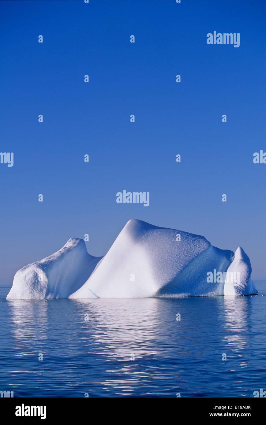 Iceberg, Conche, Iceberg Alley, Sant'Antonio, Terranova, Canada Foto Stock