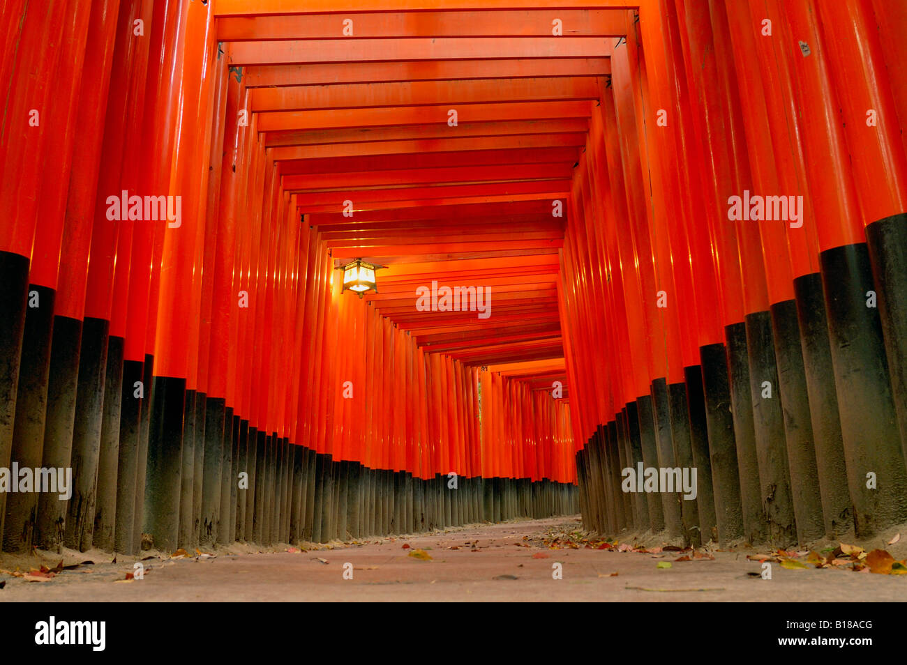 Torii gates Fushimi Inari Taisha Honshu Kyoto in Giappone Foto Stock