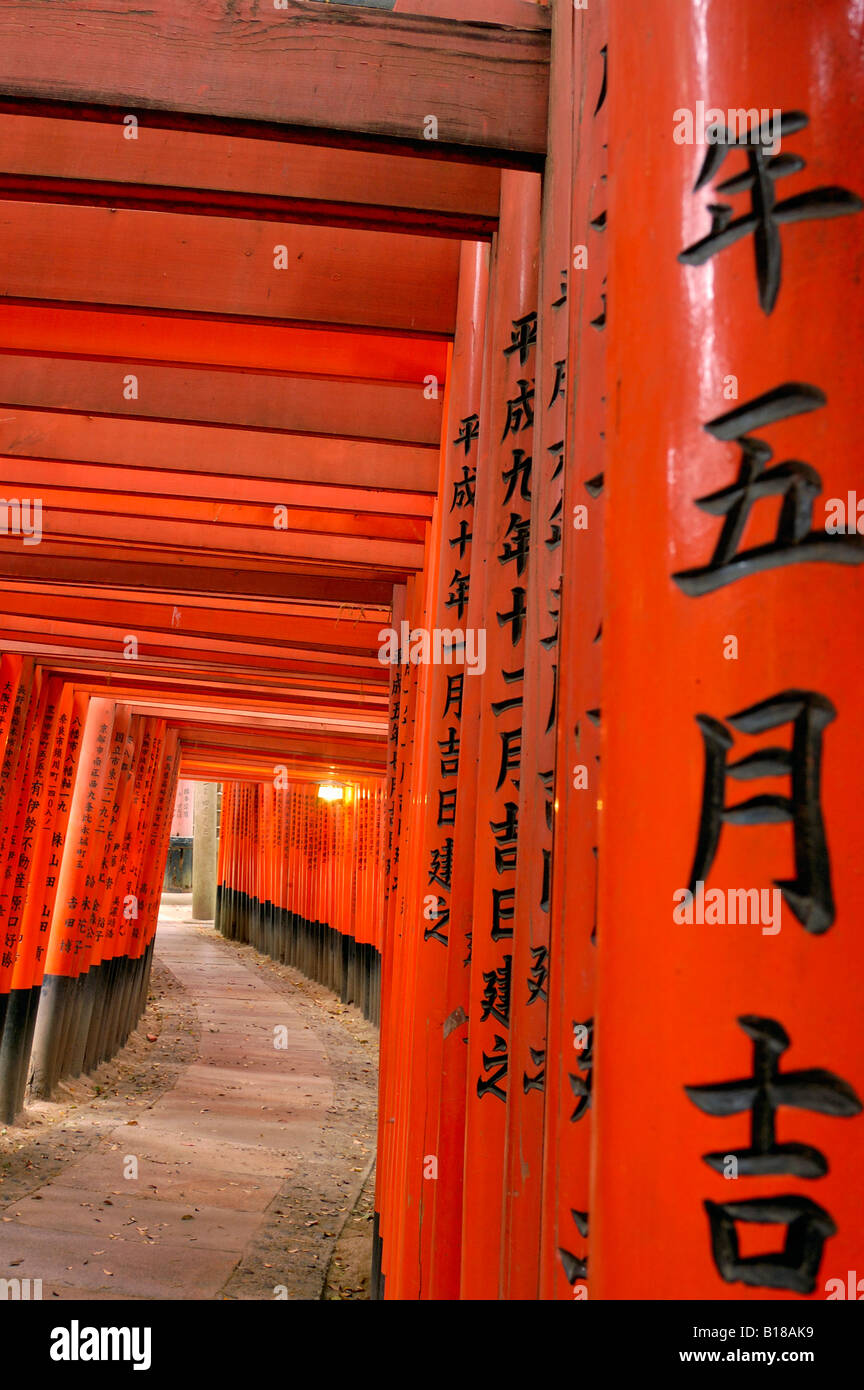 Torii gates Fushimi Inari Taisha Honshu Kyoto in Giappone Foto Stock