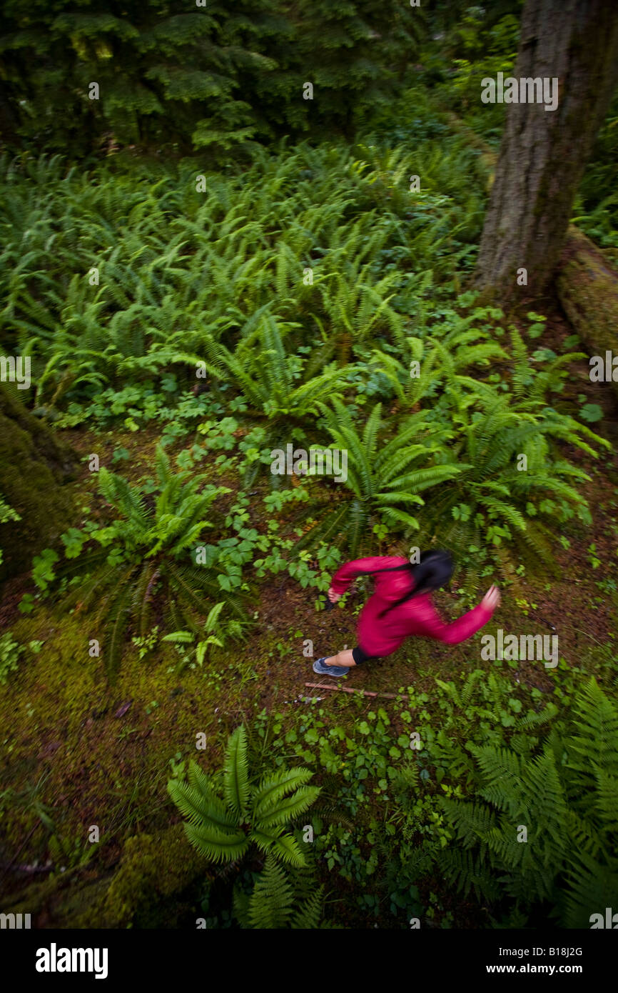 Una giovane donna trail running tra cedri gigante in Cattedrale Grove Parco Provinciale, Isola di Vancouver, British Columbia, Canada Foto Stock