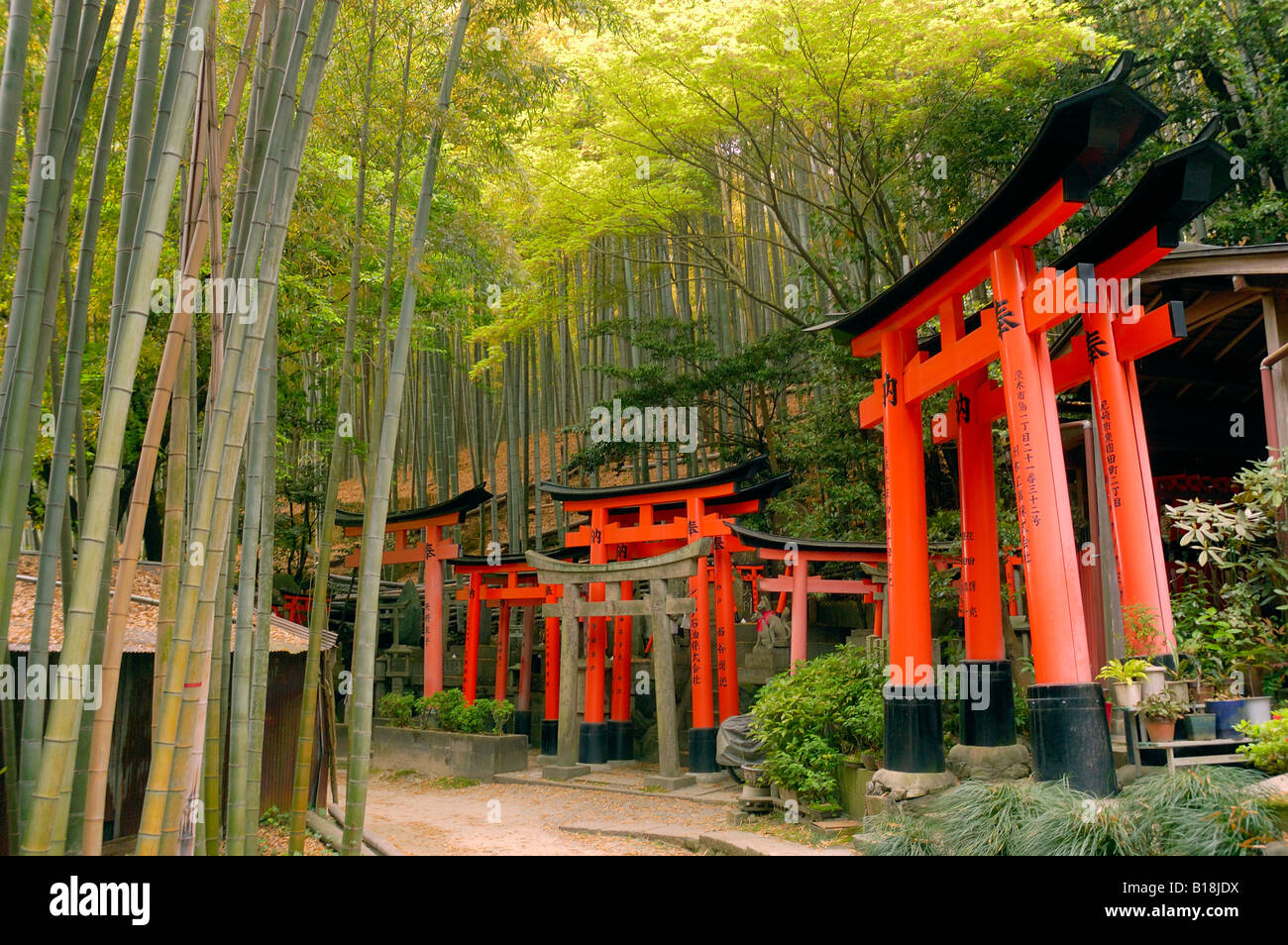 Torii gates Fushimi Inari santuario giapponese di Kyoto Foto Stock