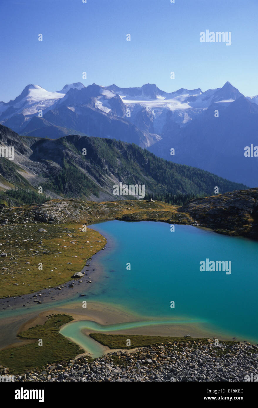 Un alpine tarn a Monica Prati Purcell montagne, British Columbia, Canada. Foto Stock