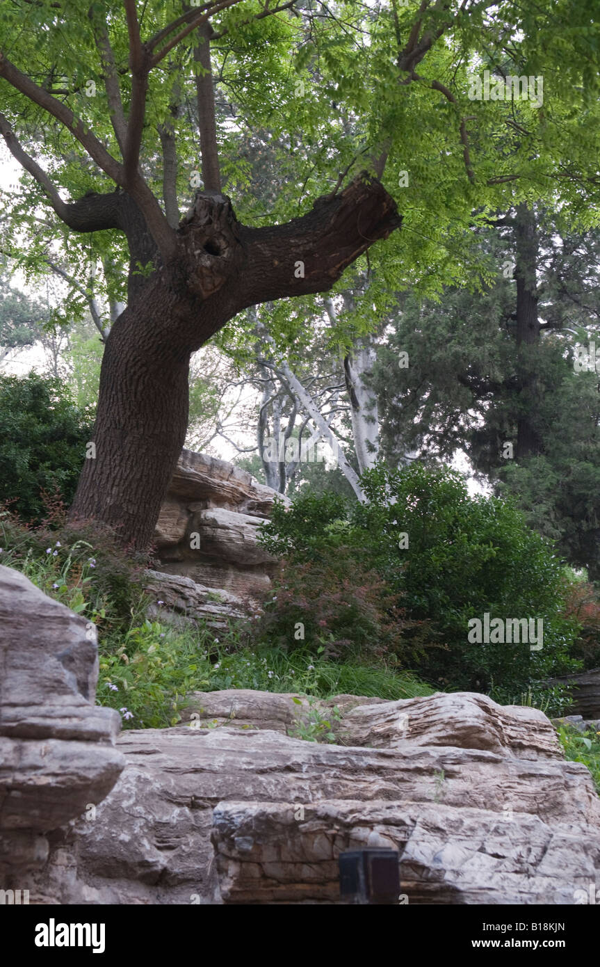 Cina Pechino Parco Jingshan Foto Stock