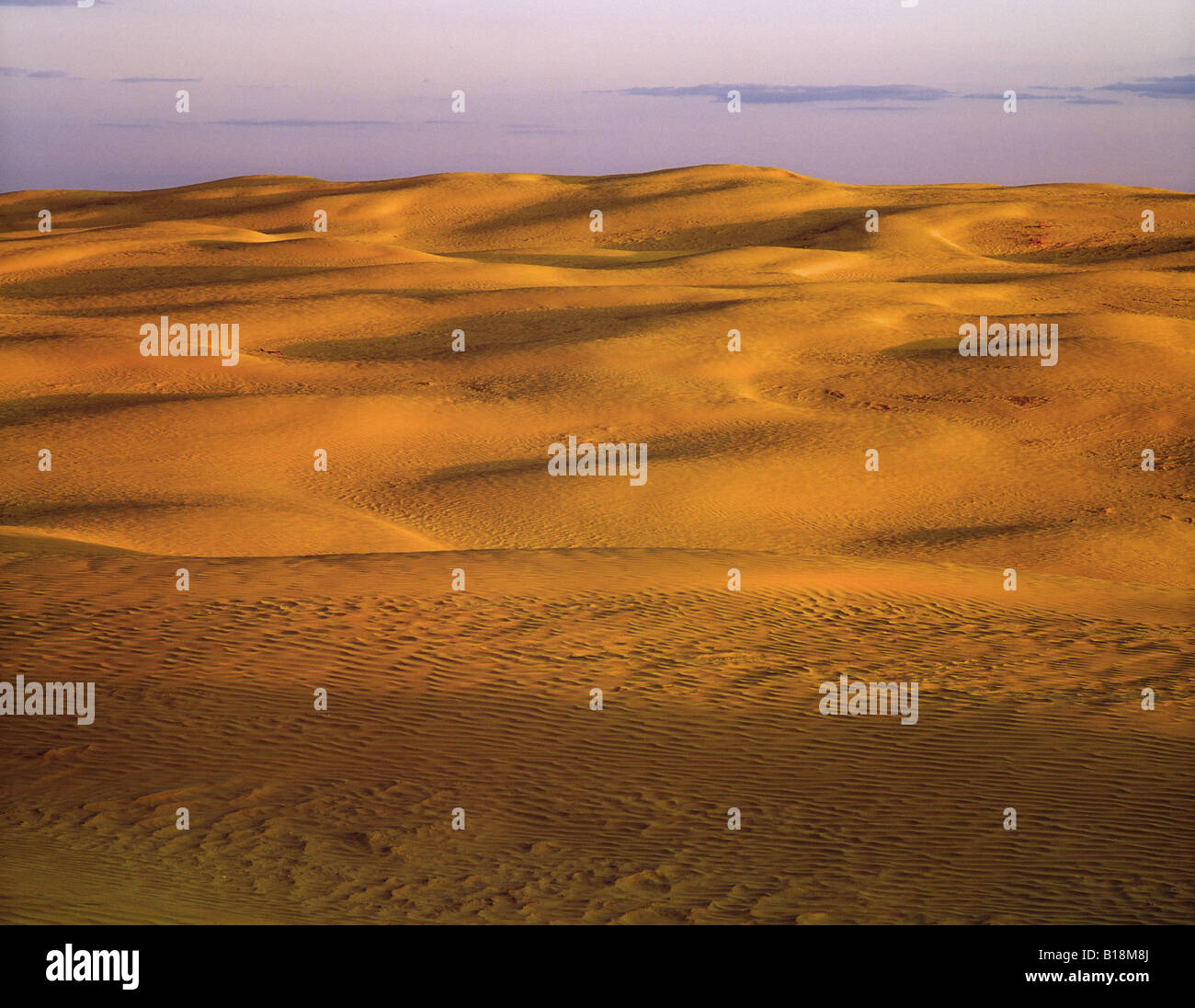 Grande Sandhills, Saskatchewan, Canada Foto Stock