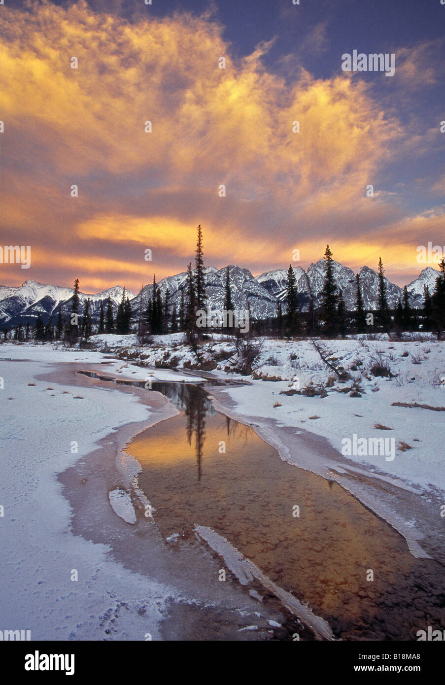 A nord del Fiume Saskatchewan, Kootenay Plains, Alberta, Canada Foto Stock