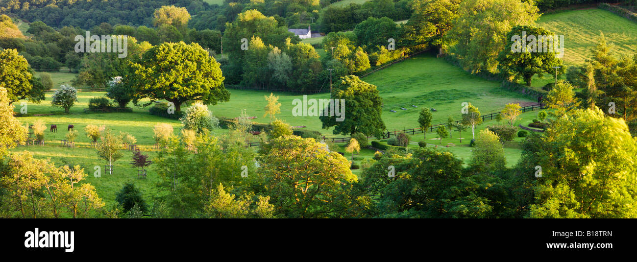 Campagna vicino a Withypool nel Parco Nazionale di Exmoor Somerset Inghilterra Foto Stock