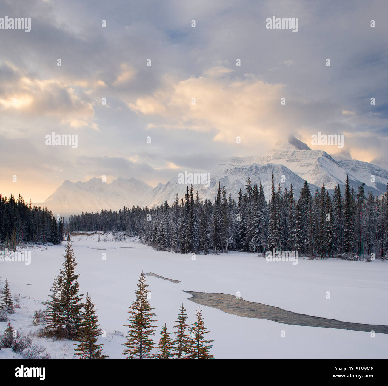 Montare Fryatt e l'Athabasca River - Jasper National Park - Alberta, Canada. Foto Stock