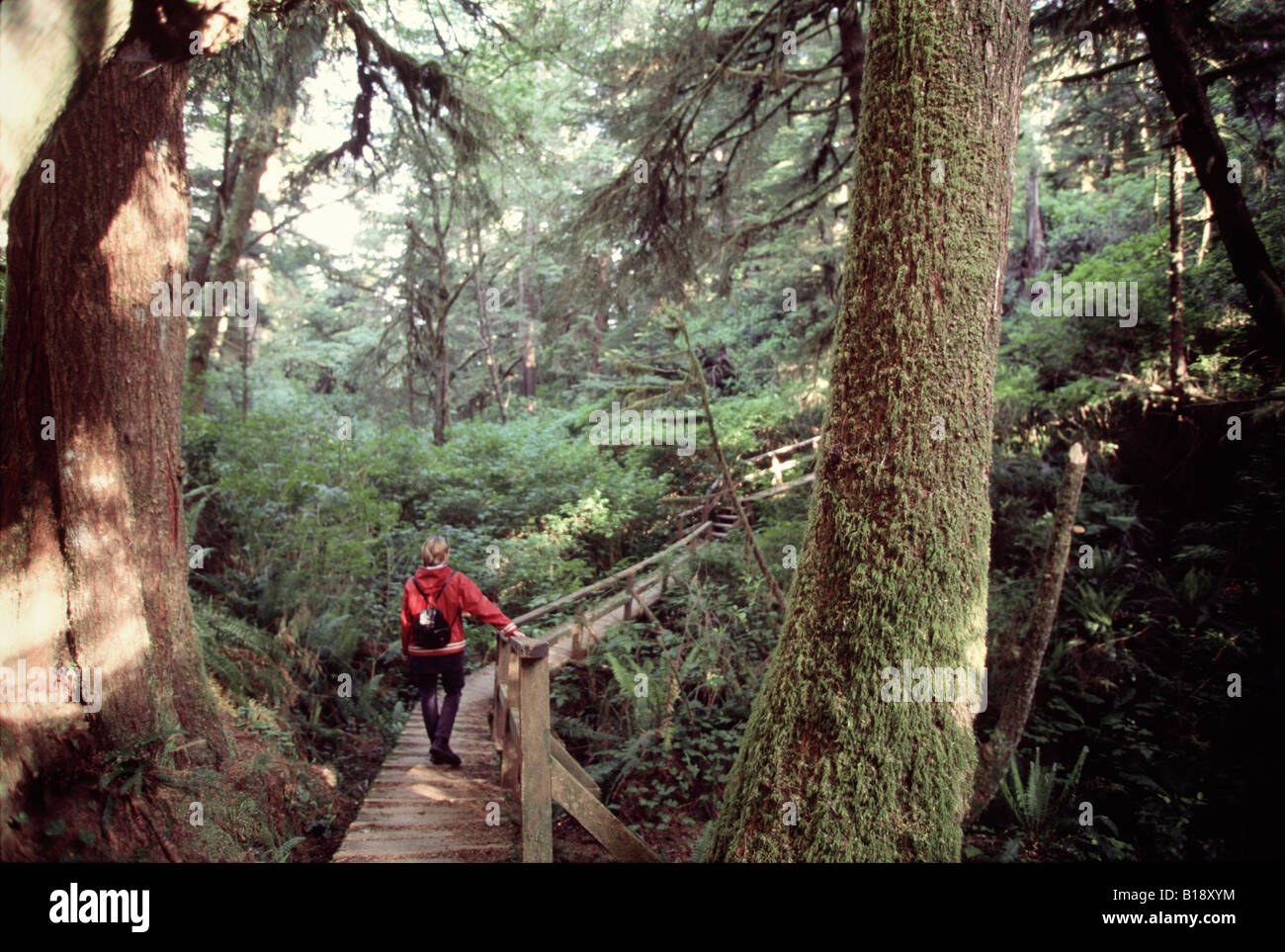 20 anno di età giovane donna camminare sul lungomare attraverso il bosco verso la spiaggia, Schooner Bay, l'isola di Vancouver, British C Foto Stock
