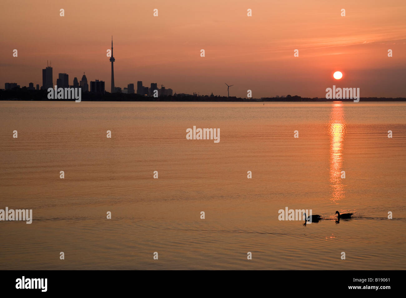 Lo skyline di Toronto e alba con Oche del Canada in primo piano, Toronto, Ontario, Canada. Foto Stock