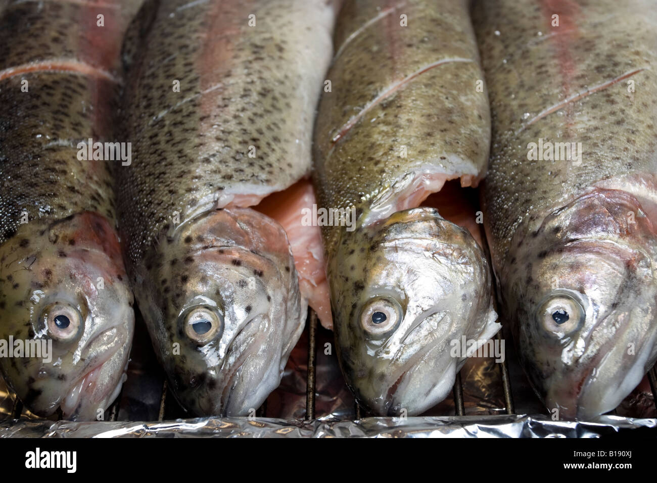 Vassoio del preparato di fresco pesce pronto per la cottura alla griglia Foto Stock