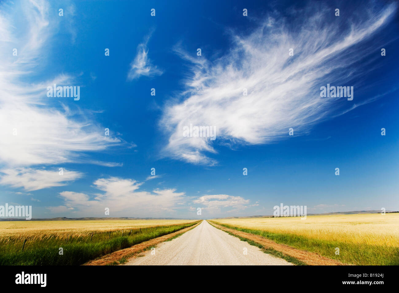 Strada di ghiaia, Stavely, Alberta, Canada. Foto Stock