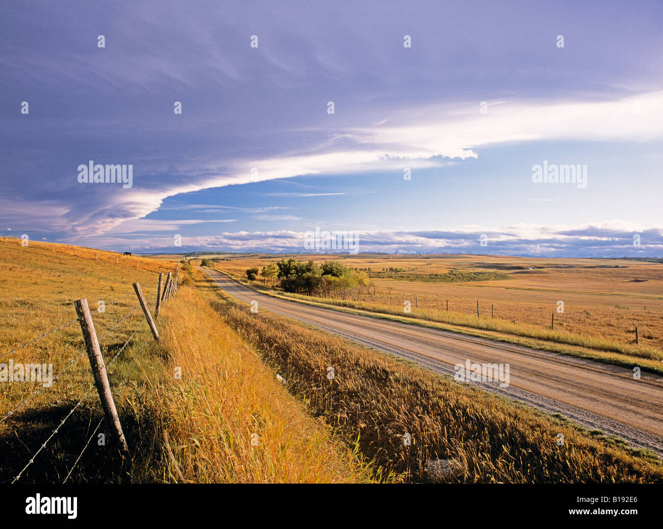 La Chinook arco rangeland vicino Cochrane, Alberta, Canada. Foto Stock