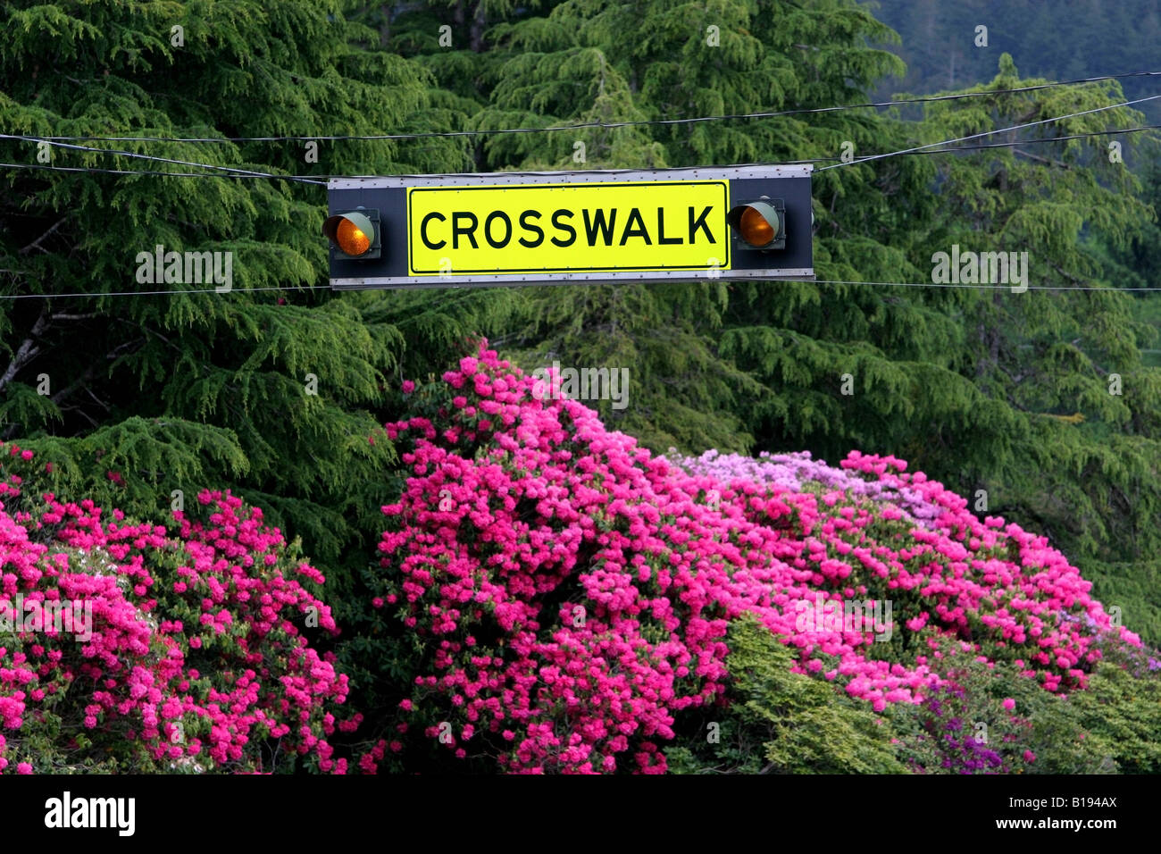 Segno del Crosswalk Foto Stock