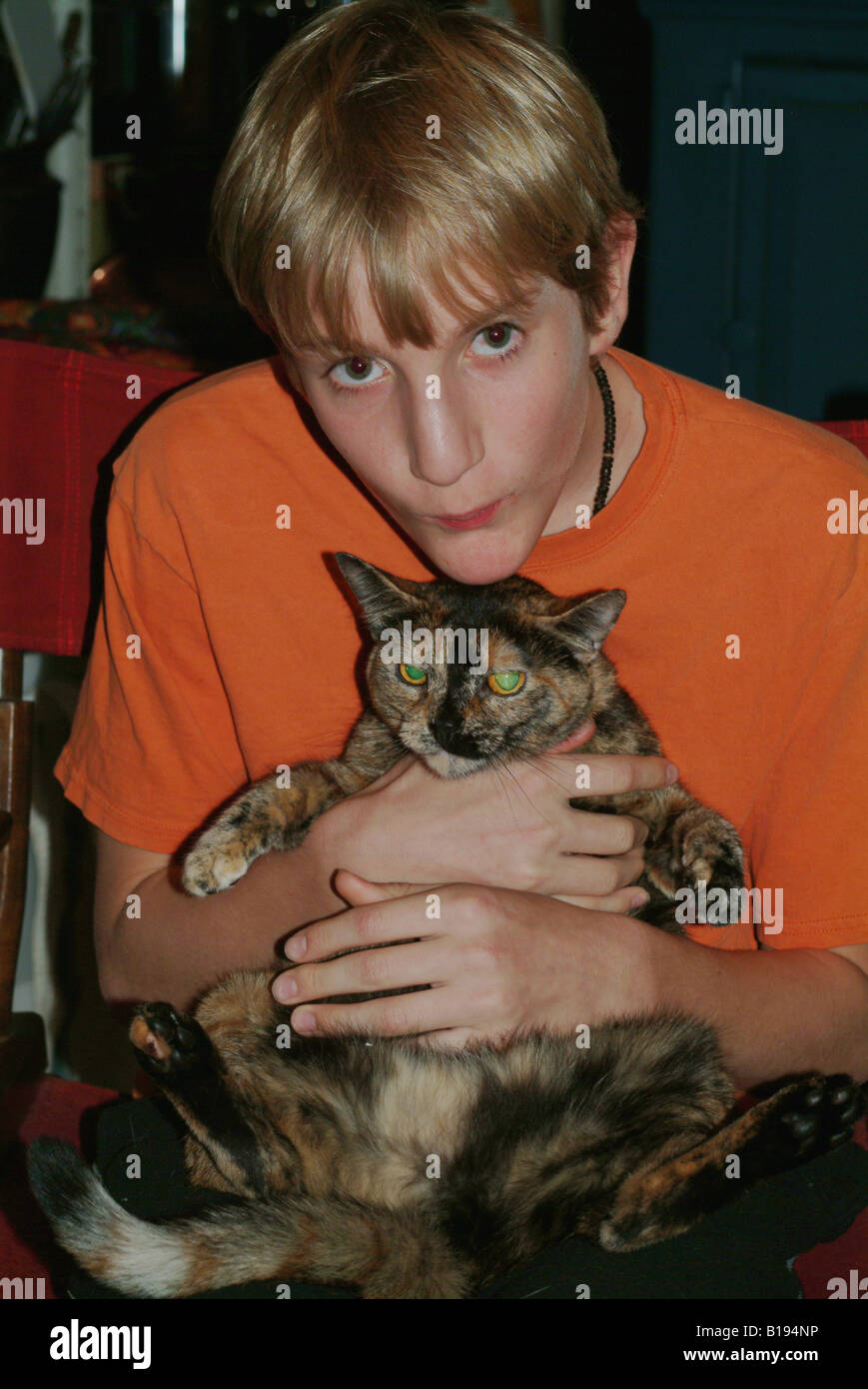 gatto della holding di ragazzo Foto Stock