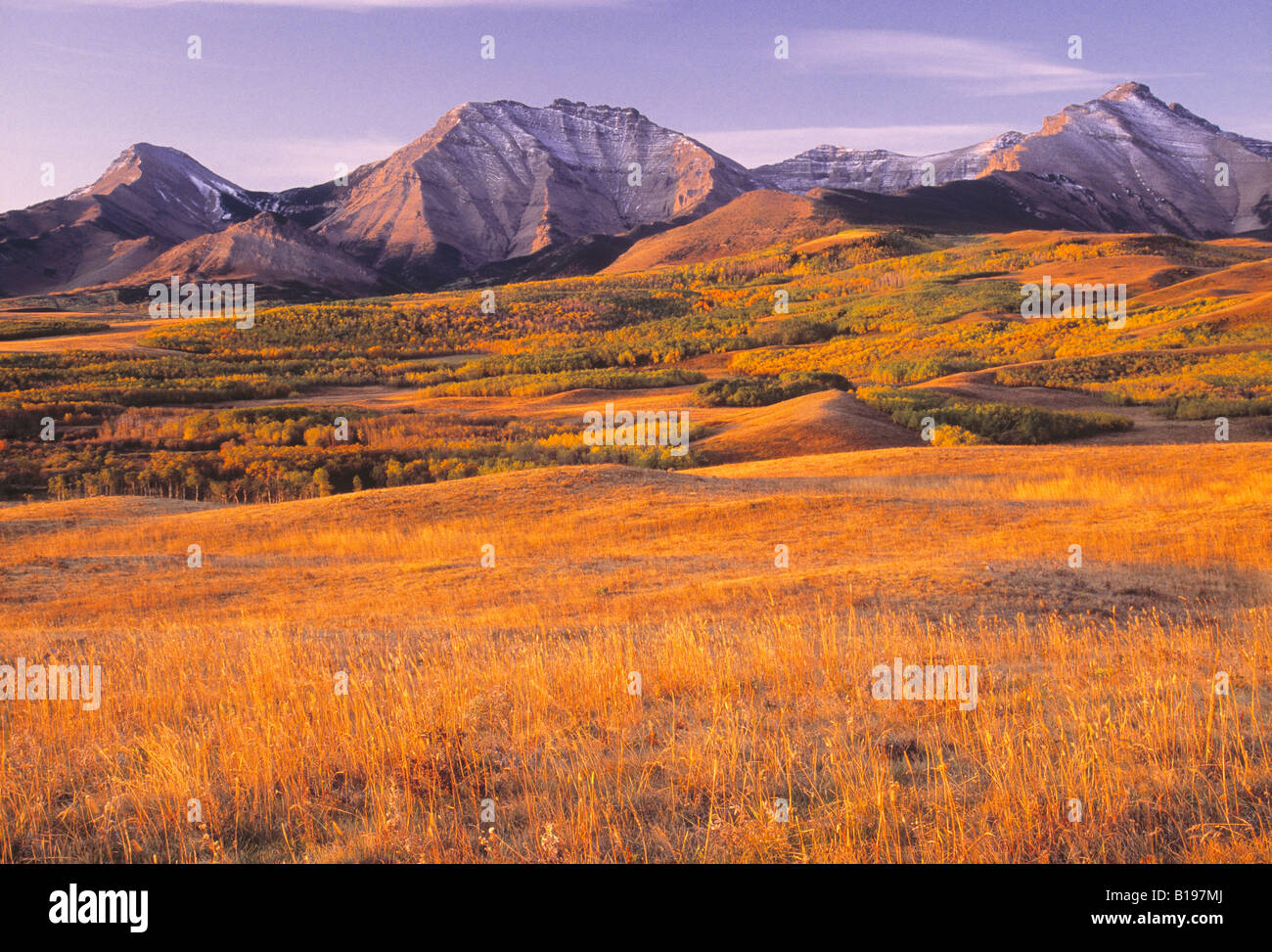 Nuvoloso Ridge vicino al Parco Nazionale dei laghi di Waterton, Alberta, Canada Foto Stock