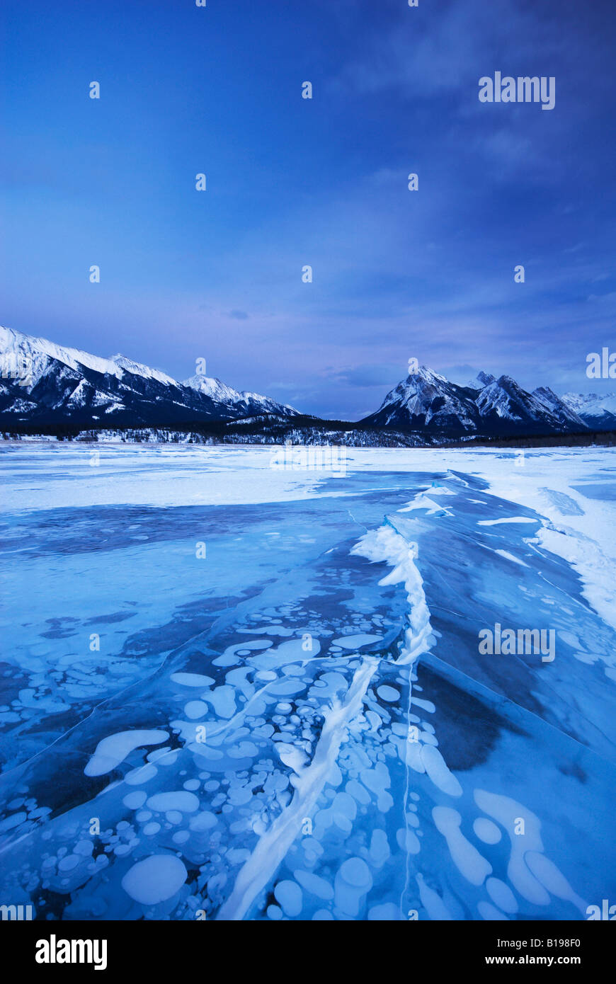 Lago di Abramo, Mount William Booth e Excoelis Mountain, Kootenay Plains, Alberta, Canada Foto Stock
