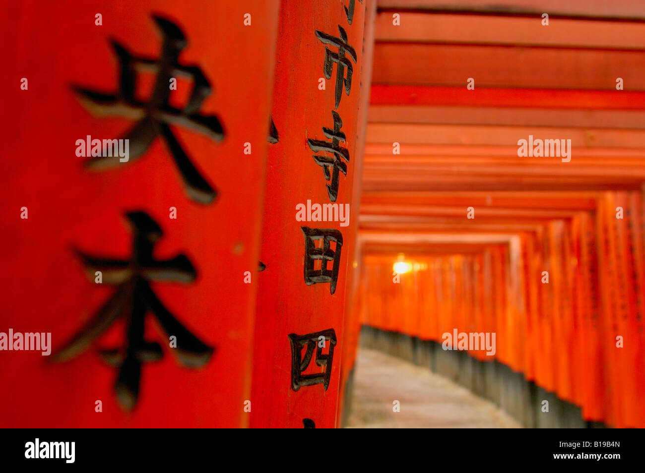 Torii gates Fushimi Inari Taisha Honshu Kyoto in Giappone Foto Stock