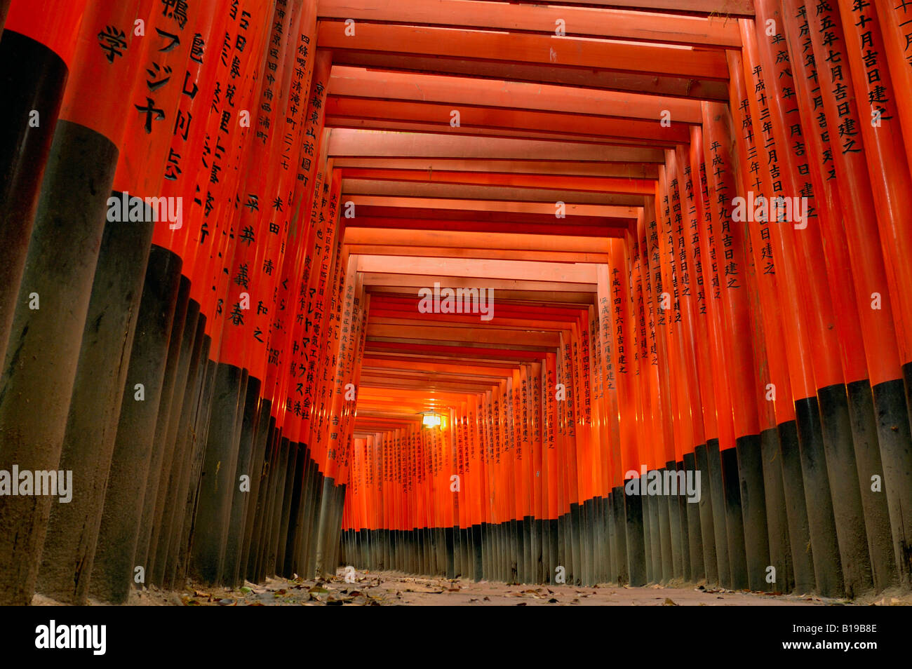 Torii gates Fushimi Inari Taisha Honshu Kyoto in Giappone Foto Stock