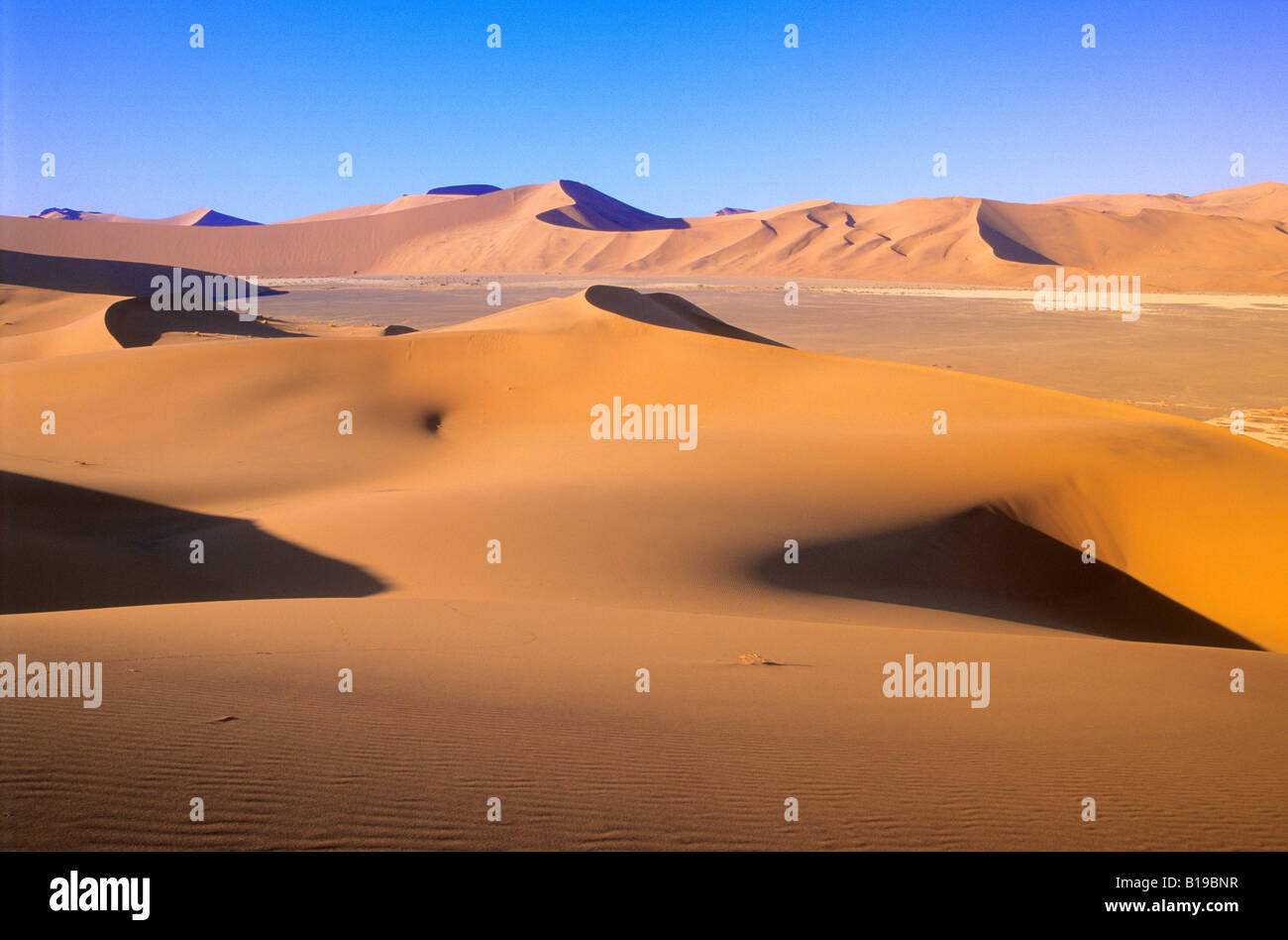 Le dune di sabbia, Soussusvlei, Namibia, Africa Foto Stock