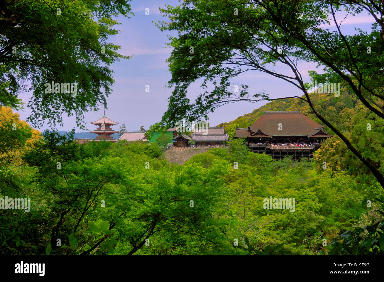 Kiyomizu Dera tempio giapponese di Kyoto Foto Stock