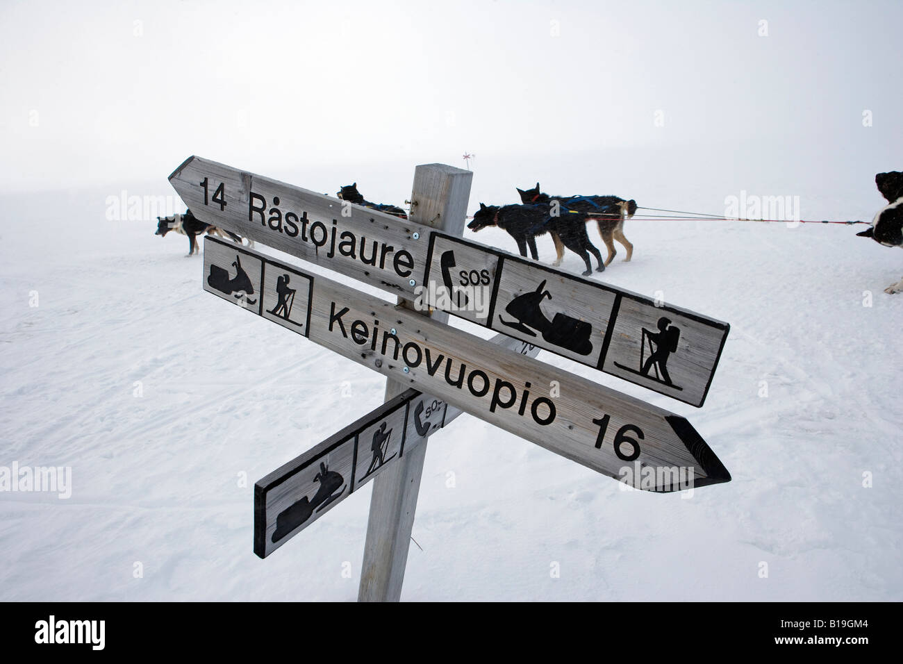 Norvegia, Troms, Alpi Lyngen. Una zona popolare sia per sport invernali ed estivi percorsi sono stabiliti attraverso la montagna il deserto Foto Stock