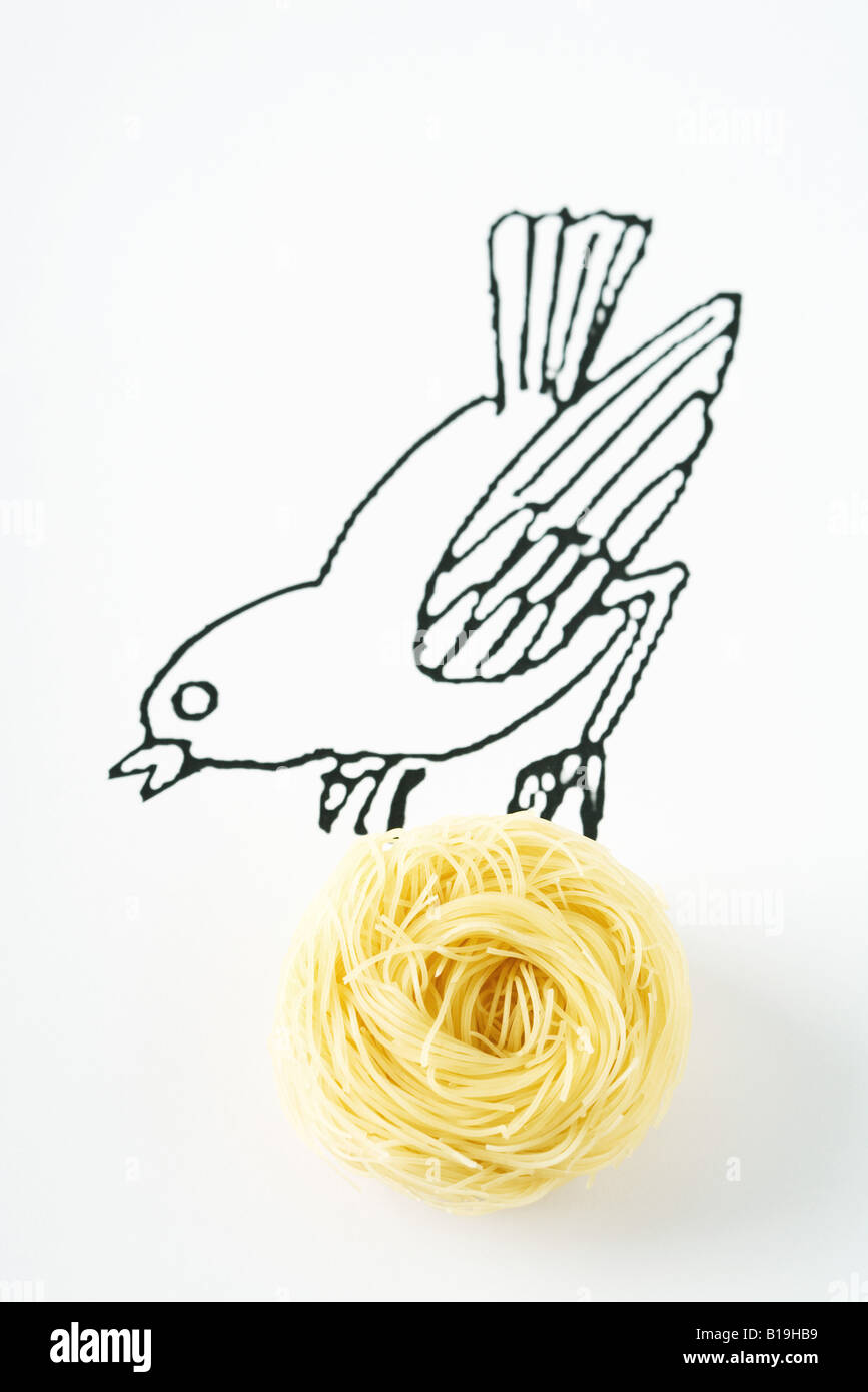 Disegno di uccello che trasportano vero nido di pasta Foto Stock