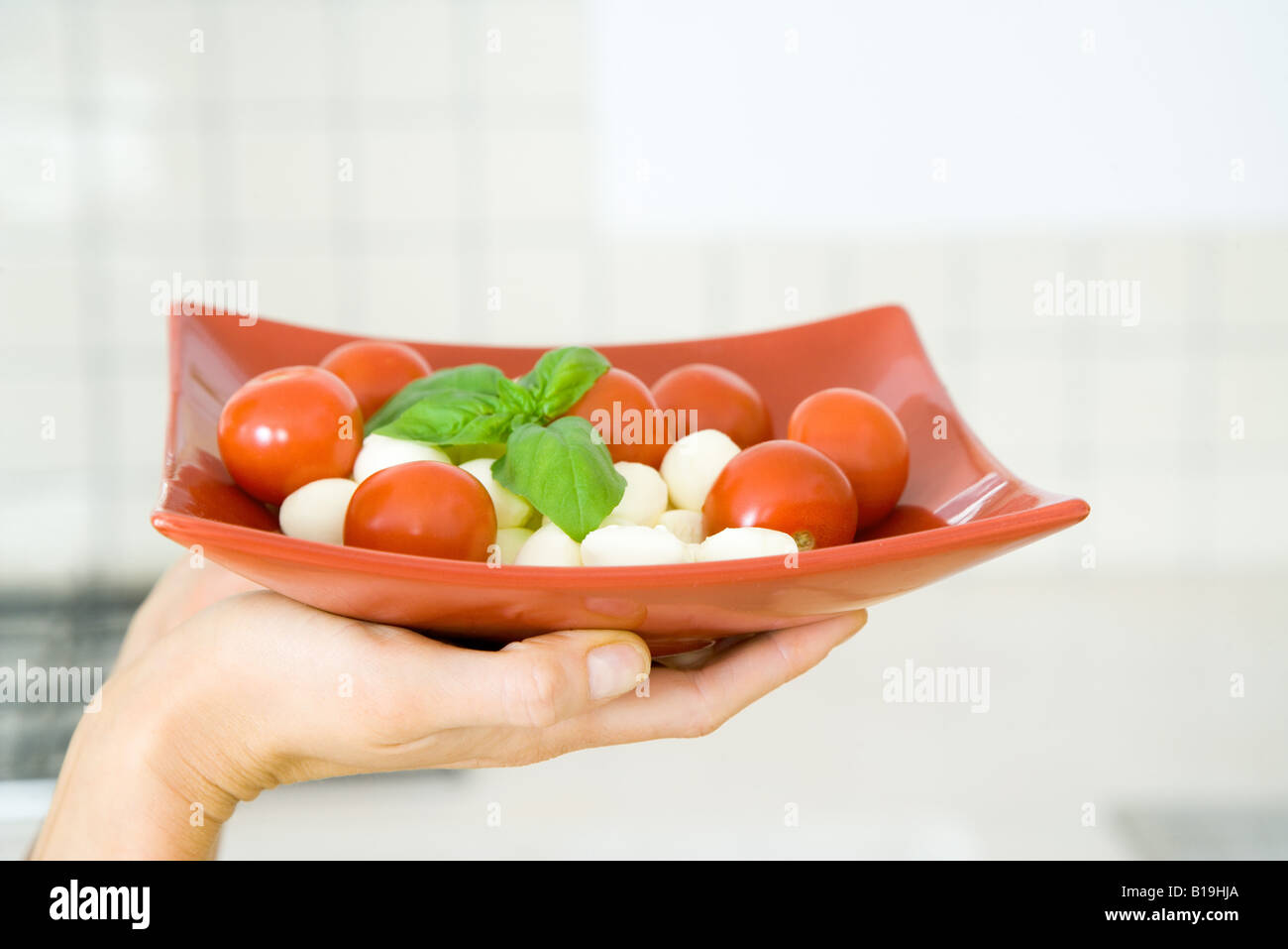 Donna di mano azienda piatto di insalata di pomodoro e mozzarella Foto Stock