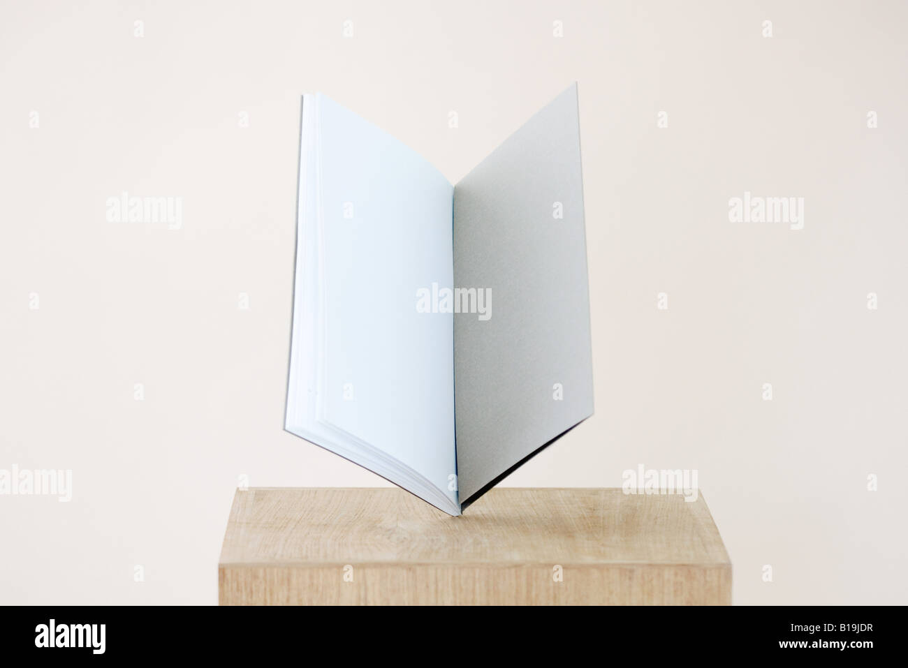Libro aperto con le pagine vuote in equilibrio su piedistallo Foto Stock