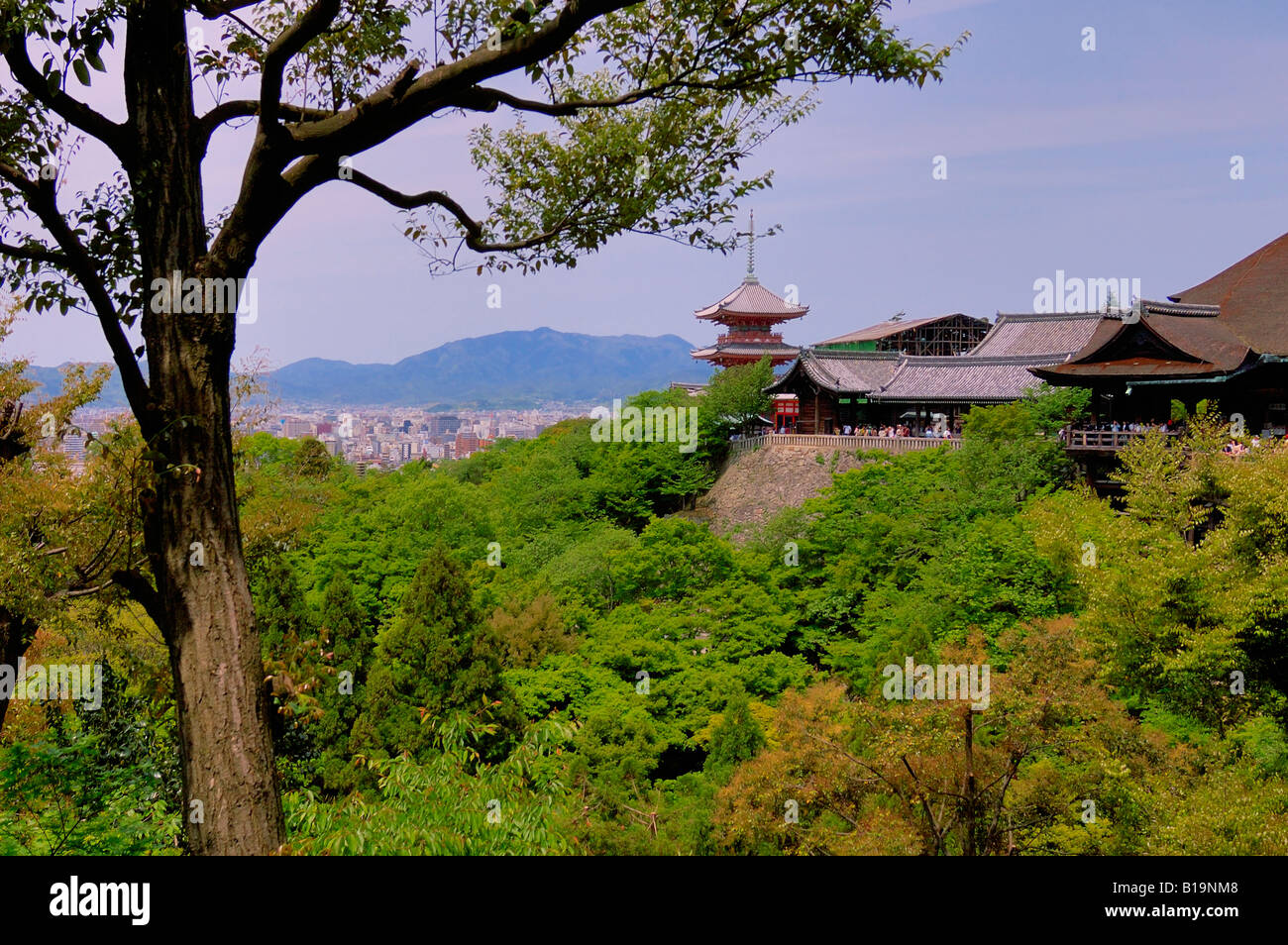 Kiyomizu Dera tempio giapponese di Kyoto Foto Stock