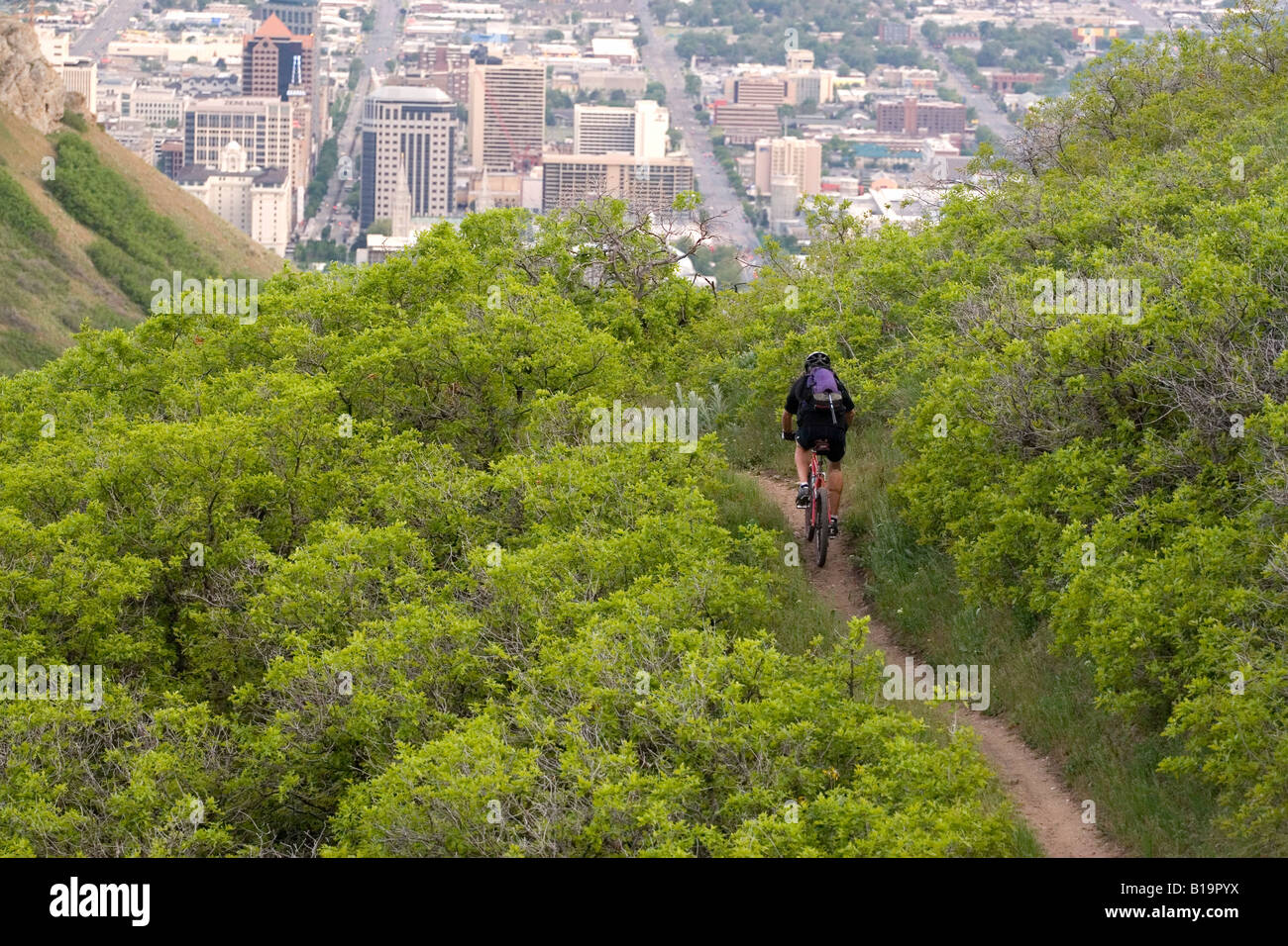 Un mountain biker scendendo un sentiero nelle colline sopra di Salt Lake City, Utah USA il centro città è visibile in background Foto Stock