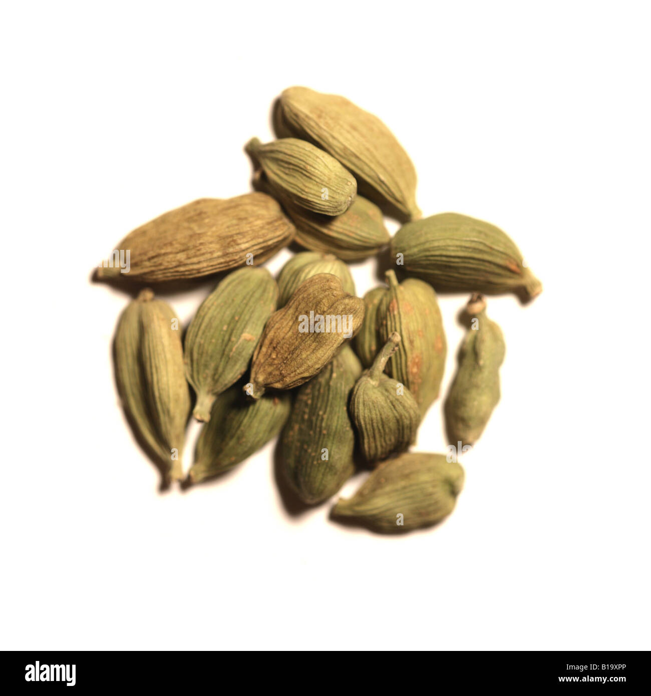 'Baccelli di cardamomo' Foto Stock