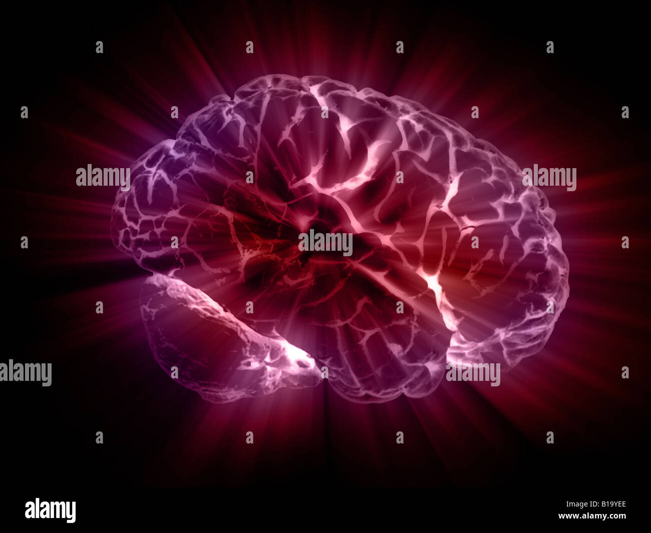 Il cervello in un duro lavoro Foto Stock