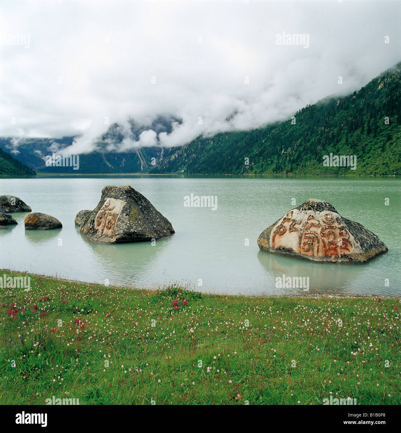 Rocce con script tibetano nel lago,Sichuan,Cina Foto Stock