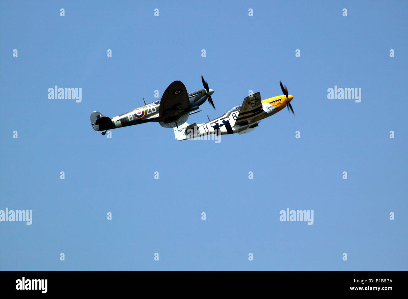 North American P-51 D Mustang feroce Frankie e Vickers Supermarine Spitfire MH 434 conquistando il miglior team del trofeo Biggin Hill Foto Stock