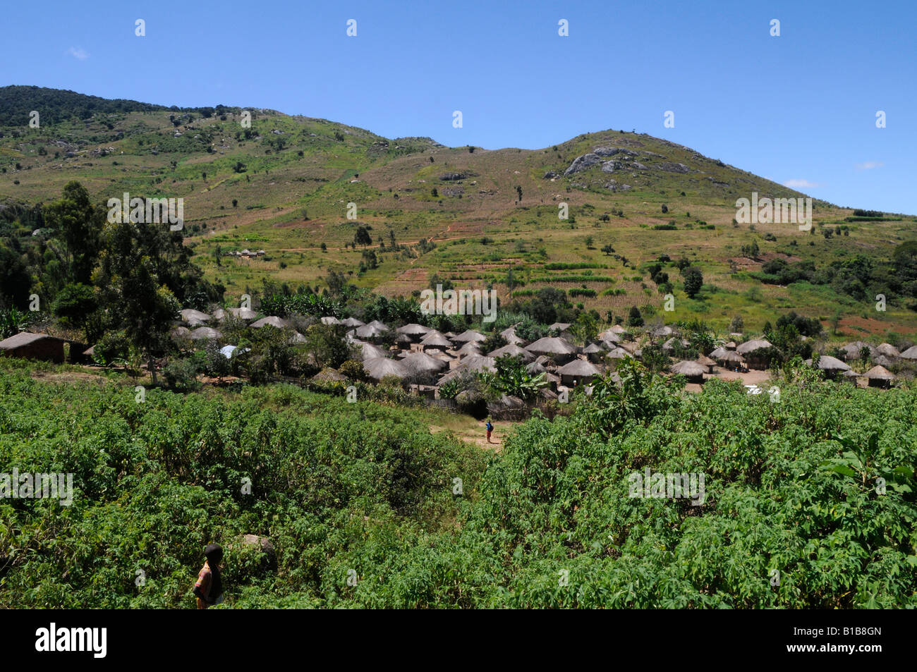 Villaggio in Africa Malawi Foto Stock