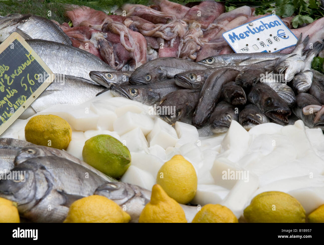 Display sul mercato del pesce in Piazza Richelmi, Aix en Provence, Francia meridionale. Foto Stock