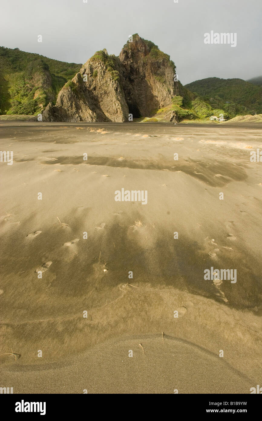 Stack di mare sulla costa occidentale dell isola del Nord Foto Stock