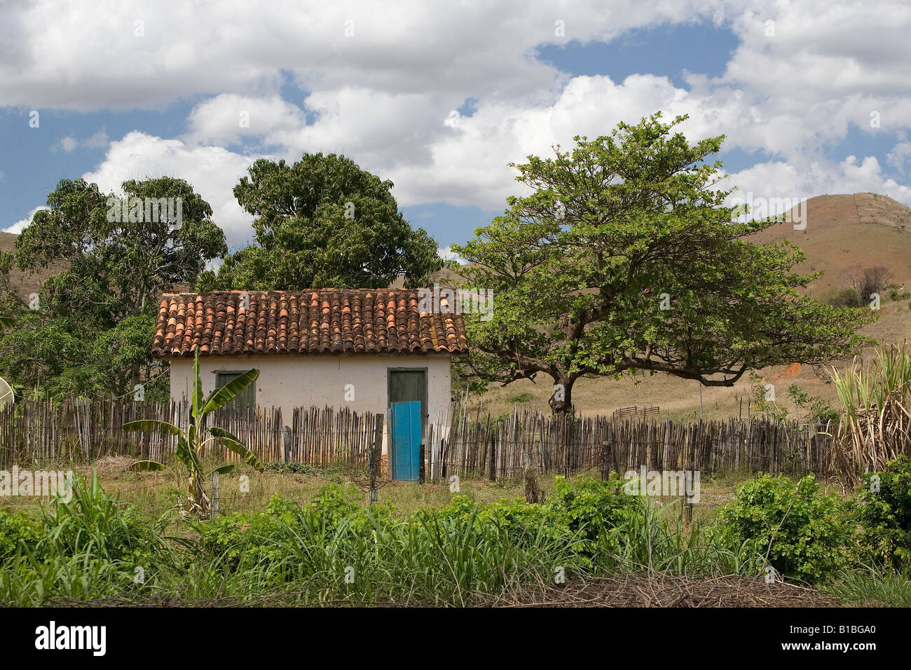 Una piccola casa rurale in Brasile con un turchese porta. Foto Stock