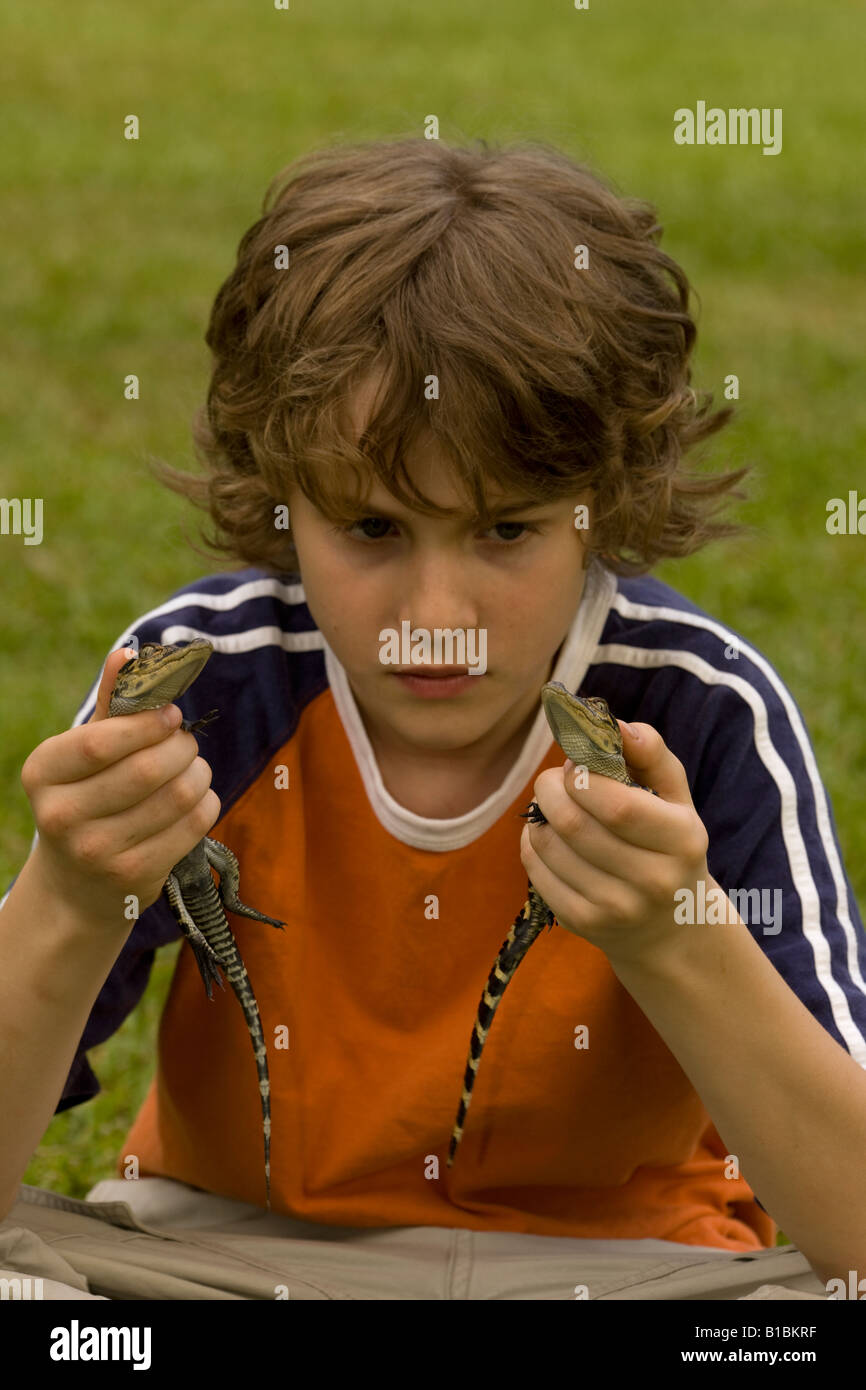 Ragazzo Azienda giovane americano alligatori (Alligator mississippiensis) Louisiana USA Foto Stock